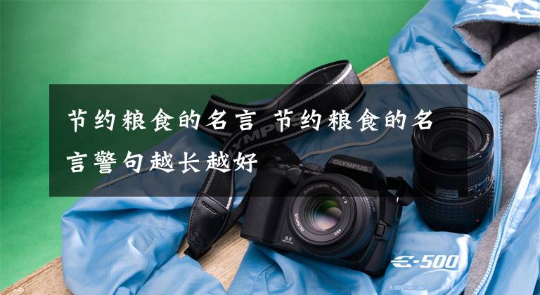 节约粮食的名言 节约粮食的名言警句越长越好