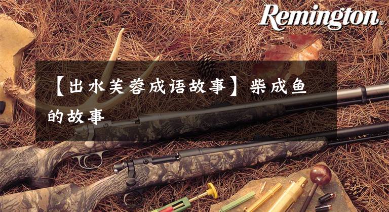 【出水芙蓉成语故事】柴成鱼的故事