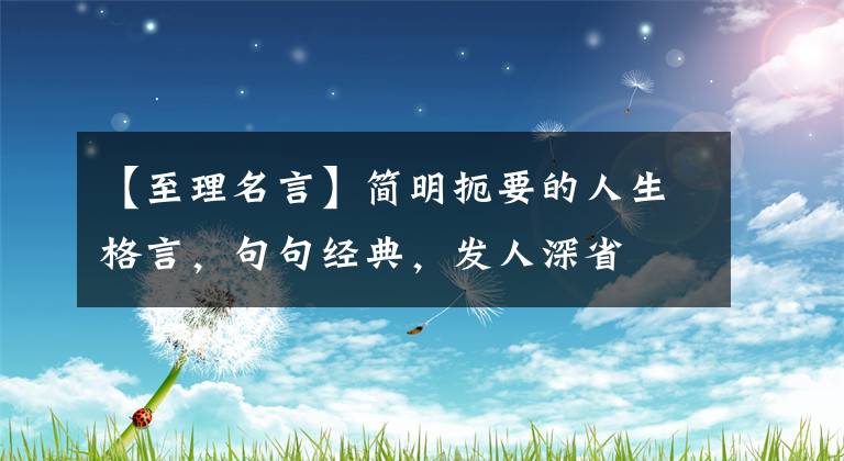 【至理名言】简明扼要的人生格言，句句经典，发人深省