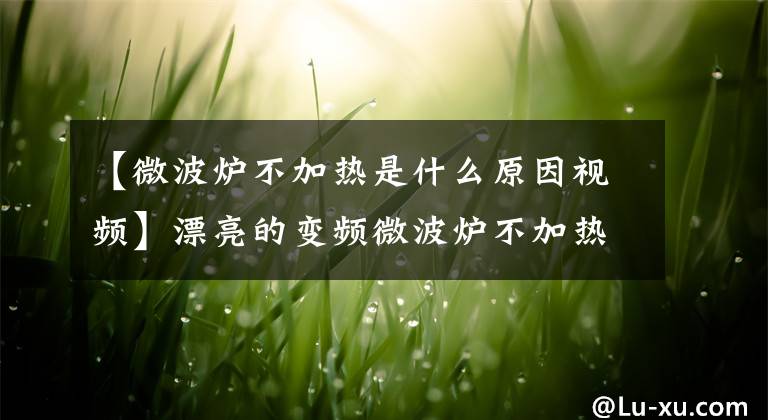 【微波炉不加热是什么原因视频】漂亮的变频微波炉不加热故障维修案例。
