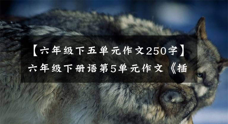 【六年级下五单元作文250字】六年级下册语第5单元作文《插上科学的翅膀飞》写作指导