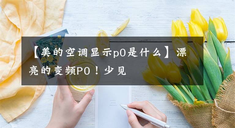【美的空调显示p0是什么】漂亮的变频P0！少见