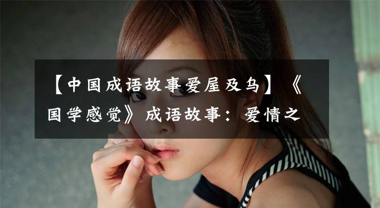 【中国成语故事爱屋及乌】《国学感觉》成语故事：爱情之家与黑色