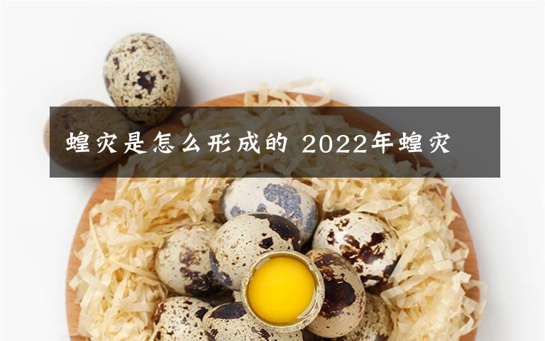 蝗灾是怎么形成的 2022年蝗灾