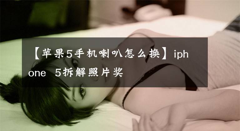 【苹果5手机喇叭怎么换】iphone  5拆解照片奖