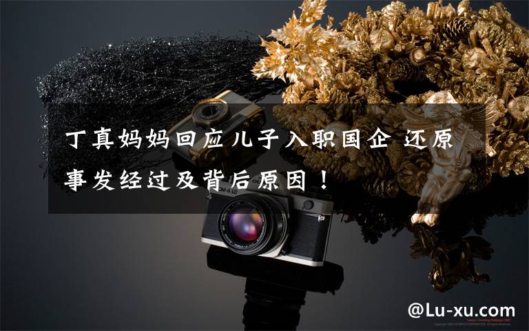 丁真妈妈回应儿子入职国企 还原事发经过及背后原因！