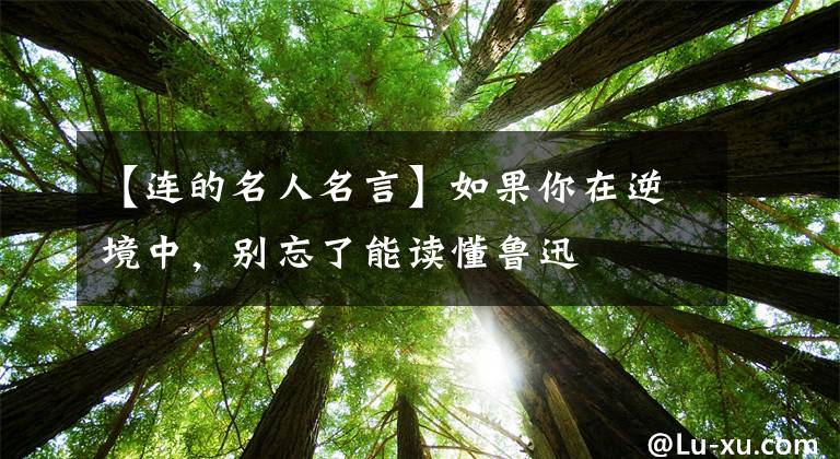 【连的名人名言】如果你在逆境中，别忘了能读懂鲁迅