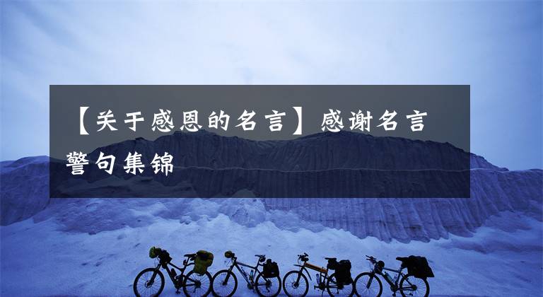 【关于感恩的名言】感谢名言警句集锦