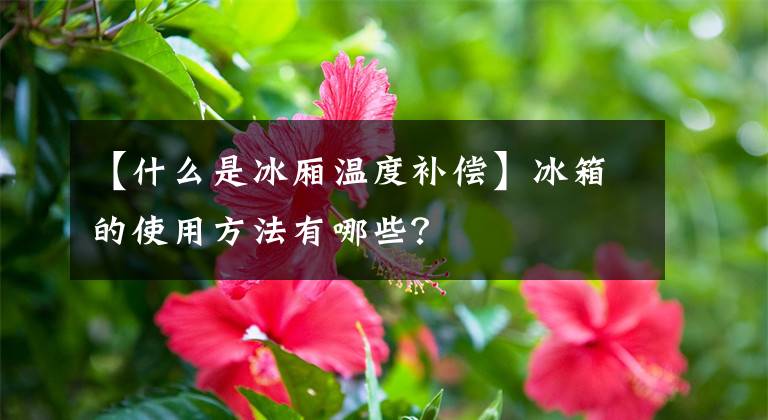 【什么是冰厢温度补偿】冰箱的使用方法有哪些？