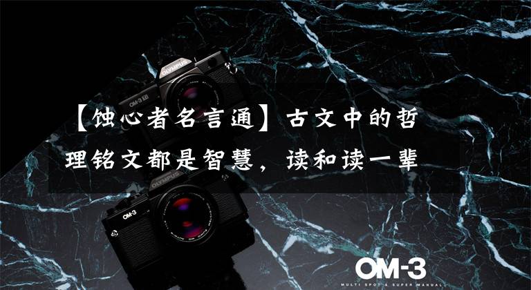 【蚀心者名言通】古文中的哲理铭文都是智慧，读和读一辈子受益
