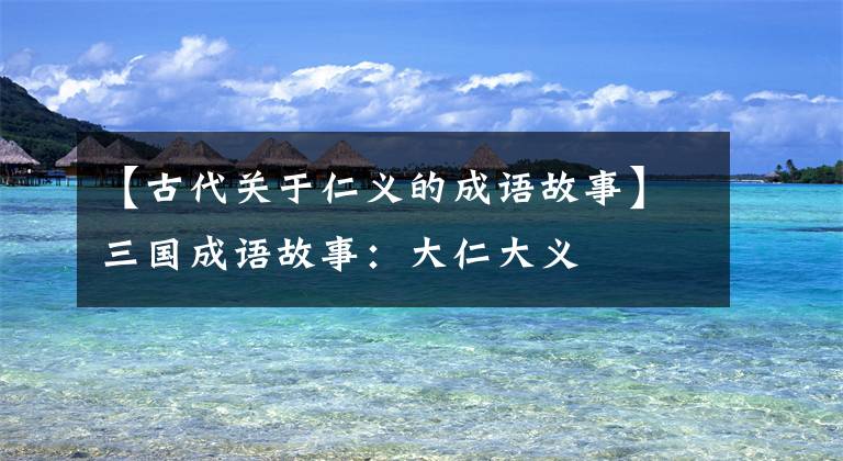 【古代关于仁义的成语故事】三国成语故事：大仁大义