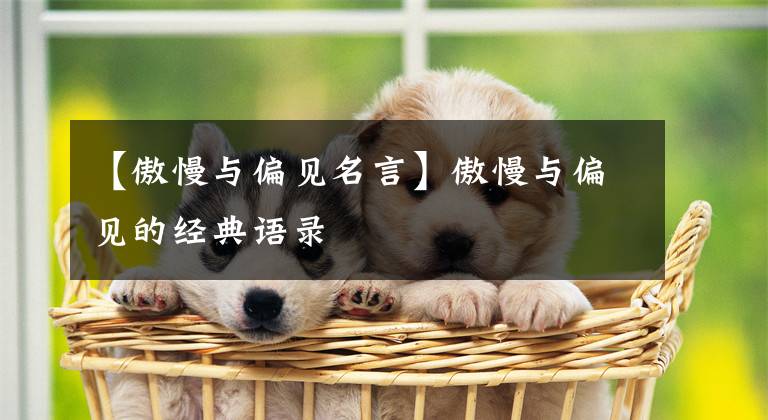 【傲慢与偏见名言】傲慢与偏见的经典语录