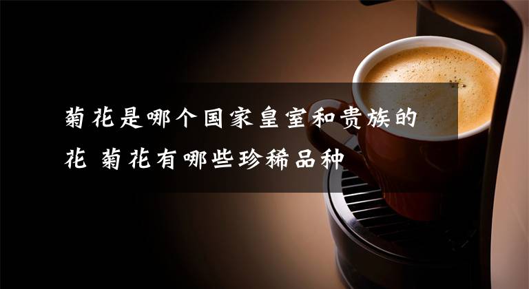 菊花是哪个国家皇室和贵族的花 菊花有哪些珍稀品种