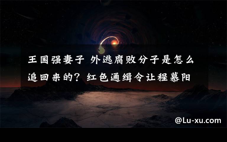 王国强妻子 外逃腐败分子是怎么追回来的？红色通缉令让程慕阳现原形