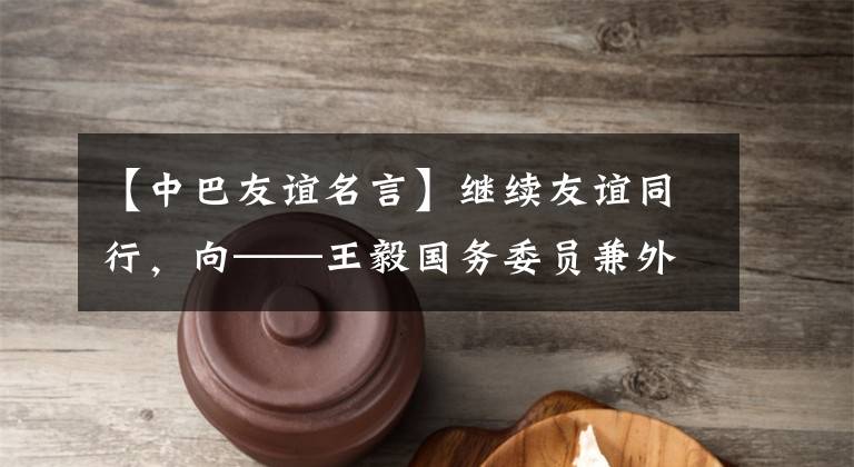【中巴友谊名言】继续友谊同行，向——王毅国务委员兼外长发起了挑战，参加了伊斯兰合作组织外长理事会，访问了巴基斯坦、阿富汗、印度和尼泊尔，接受了中央媒体的采访。