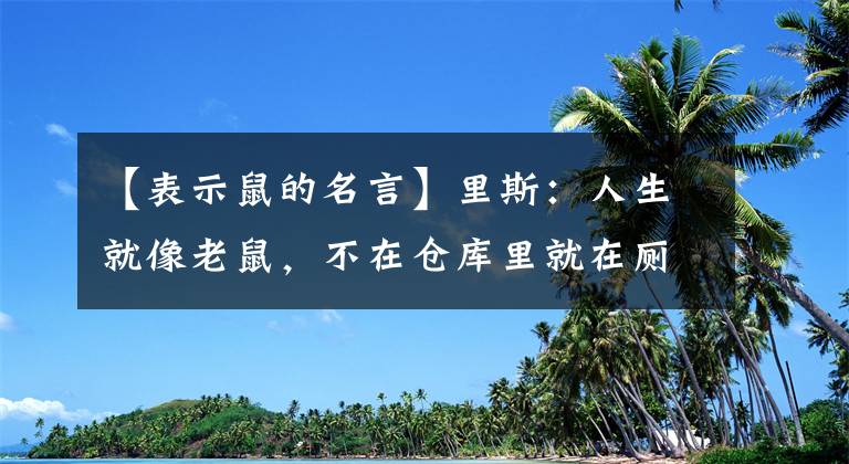 【表示鼠的名言】里斯：人生就像老鼠，不在仓库里就在厕所里