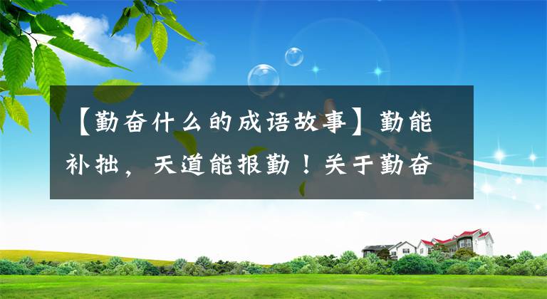 【勤奋什么的成语故事】勤能补拙，天道能报勤！关于勤奋的12个成语，老师家长讲给孩子听！