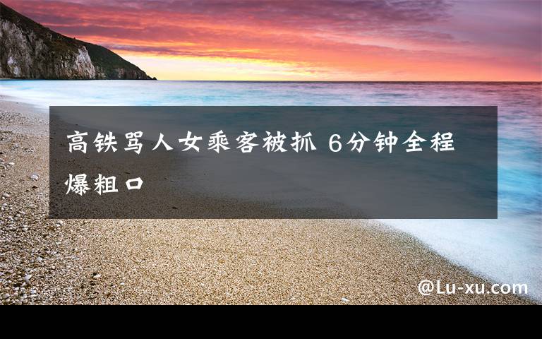 高铁骂人女乘客被抓 6分钟全程爆粗口