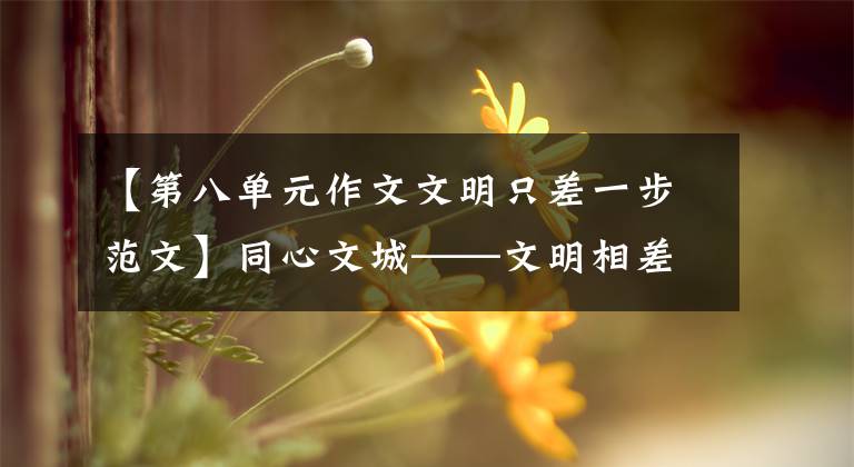 【第八单元作文文明只差一步范文】同心文城——文明相差一步