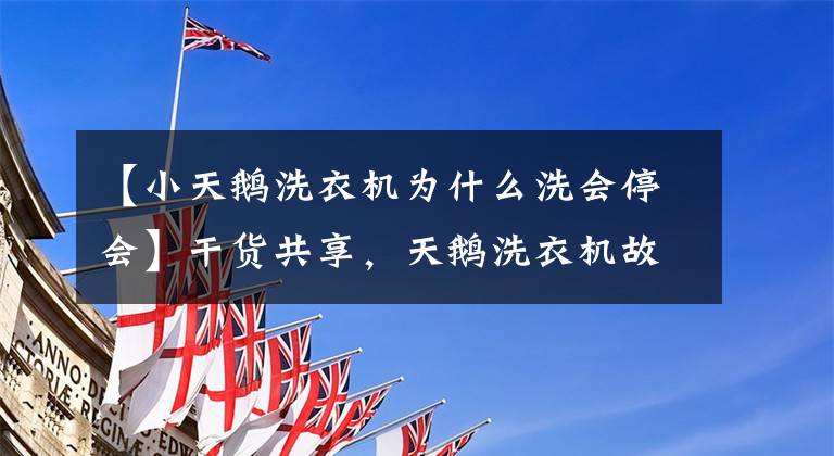 【小天鹅洗衣机为什么洗会停会】干货共享，天鹅洗衣机故障维修案例