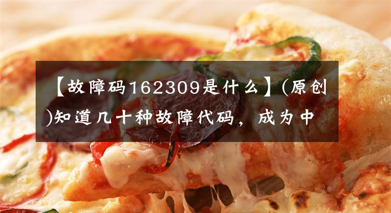 【故障码162309是什么】(原创)知道几十种故障代码，成为中国的好司机！