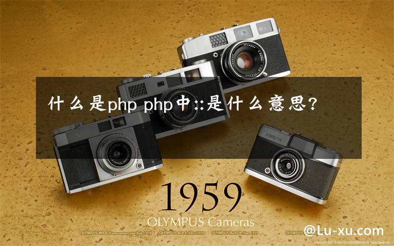 什么是php php中::是什么意思?