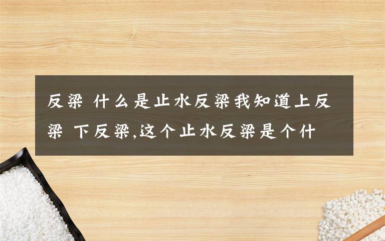 反梁 什么是止水反梁我知道上反梁 下反梁,这个止水反梁是个什么意思呢?