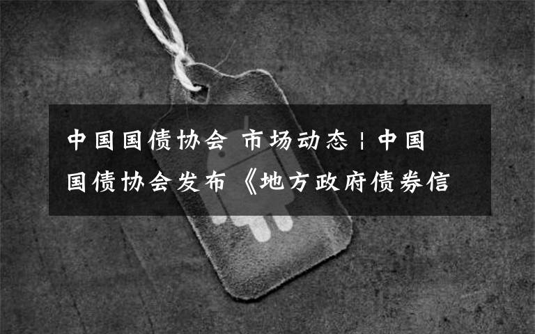 中国国债协会 市场动态 | 中国国债协会发布《地方政府债券信用评级业务自律规范指引》