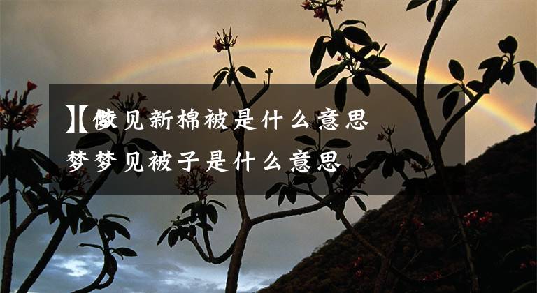 【梦见新棉被是什么意思
】做梦梦见被子是什么意思