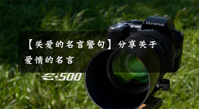 【关爱的名言警句】分享关于爱情的名言