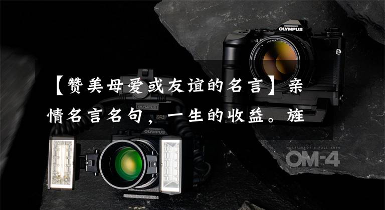 【赞美母爱或友谊的名言】亲情名言名句，一生的收益。旌善28区