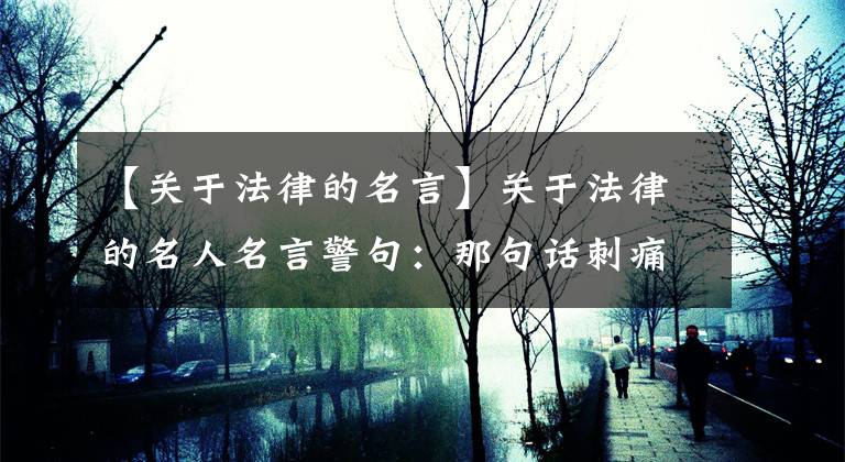 【关于法律的名言】关于法律的名人名言警句：那句话刺痛了你的GP吗？