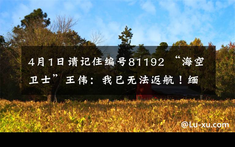 4月1日请记住编号81192 “海空卫士”王伟：我已无法返航！缅怀英雄 19年后再亿南海撞击事件