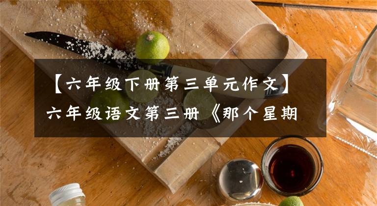 【六年级下册第三单元作文】六年级语文第三册《那个星期天》教案