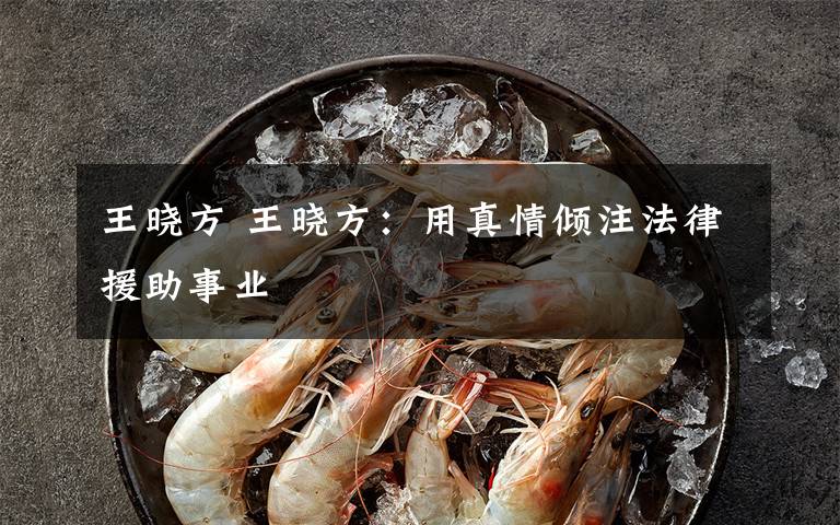 王晓方 王晓方：用真情倾注法律援助事业