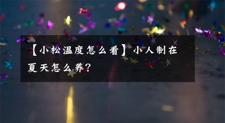 【小松温度怎么看】小人制在夏天怎么养？