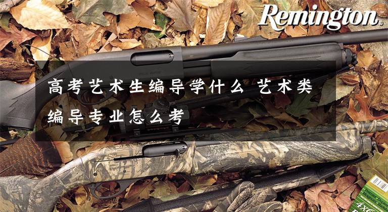 高考艺术生编导学什么 艺术类编导专业怎么考