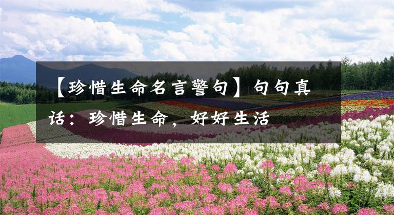 【珍惜生命名言警句】句句真话：珍惜生命，好好生活
