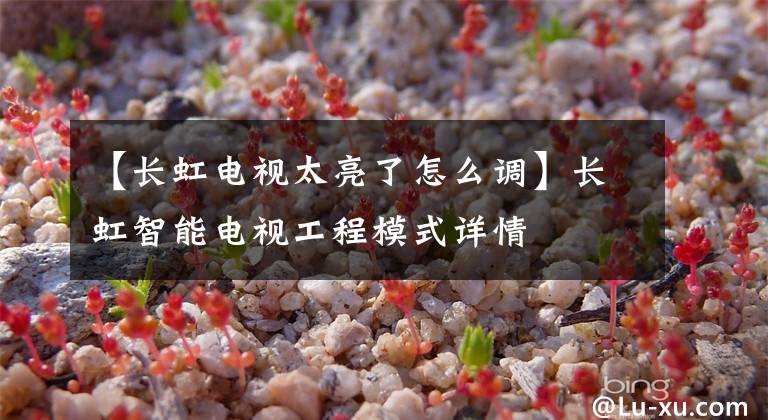【长虹电视太亮了怎么调】长虹智能电视工程模式详情