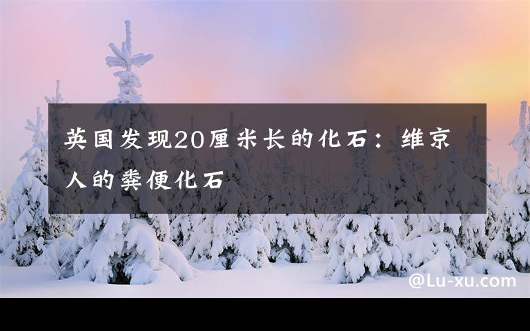 英国发现20厘米长的化石：维京人的粪便化石