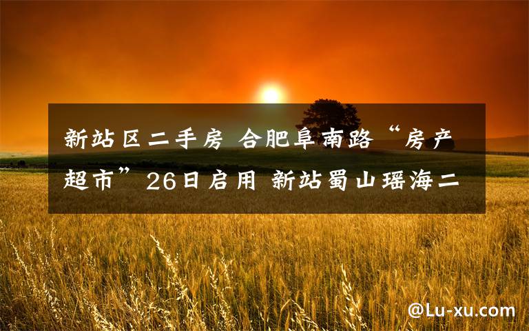 新站区二手房 合肥阜南路“房产超市”26日启用 新站蜀山瑶海二手房过户交税均到此