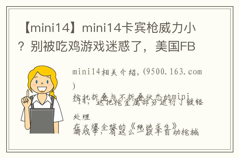 【mini14】mini14卡宾枪威力小？别被吃鸡游戏迷惑了，美国FBI曾栽在它手上