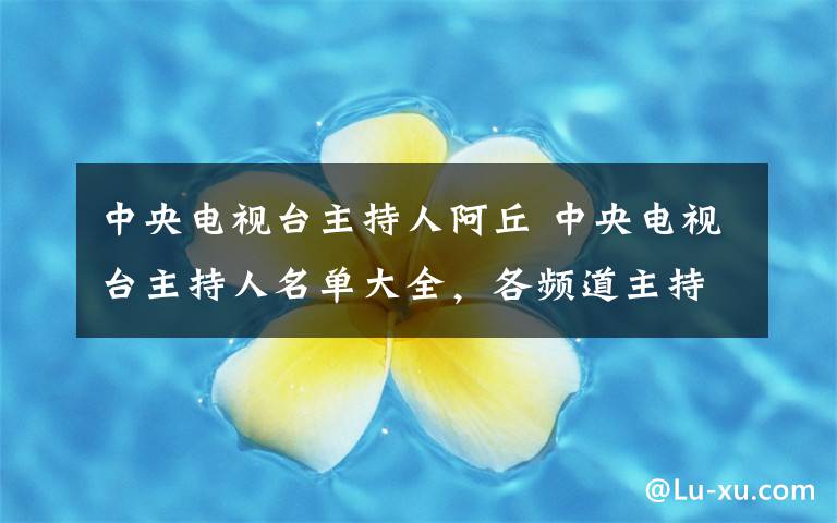 中央电视台主持人阿丘 中央电视台主持人名单大全，各频道主持人名单