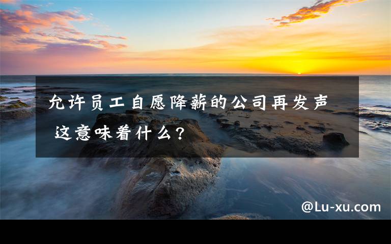 允许员工自愿降薪的公司再发声 这意味着什么?