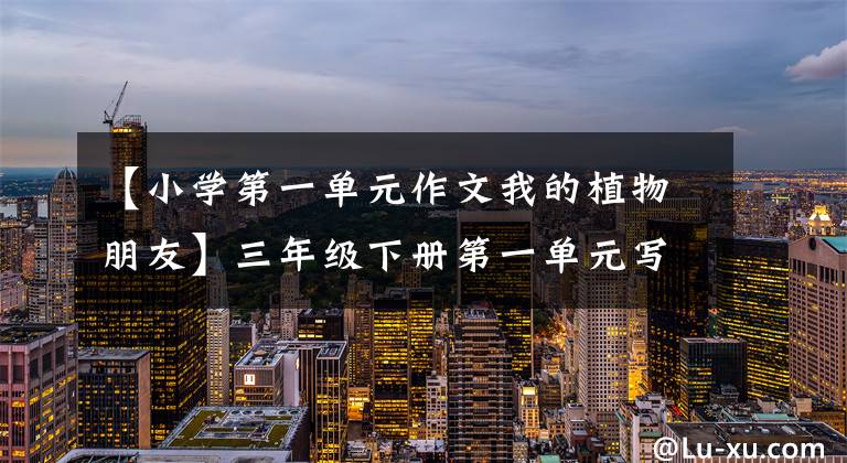 【小学第一单元作文我的植物朋友】三年级下册第一单元写作：我的植物朋友张树华