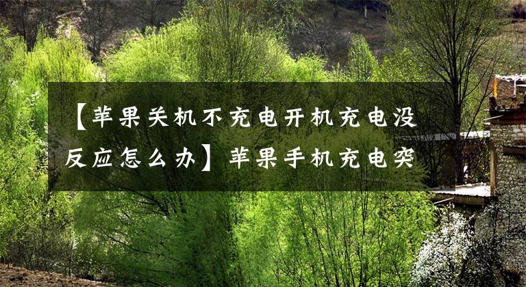 【苹果关机不充电开机充电没反应怎么办】苹果手机充电突然没反应了吗？