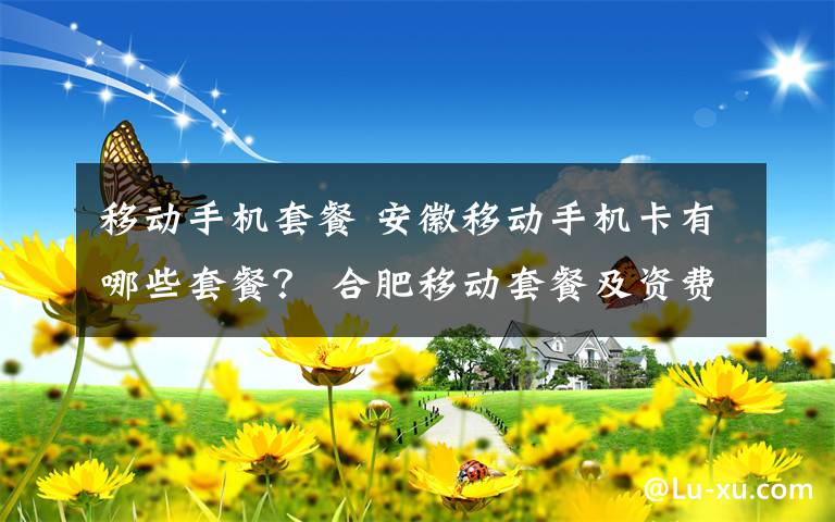 移动手机套餐 安徽移动手机卡有哪些套餐？ 合肥移动套餐及资费标准一览