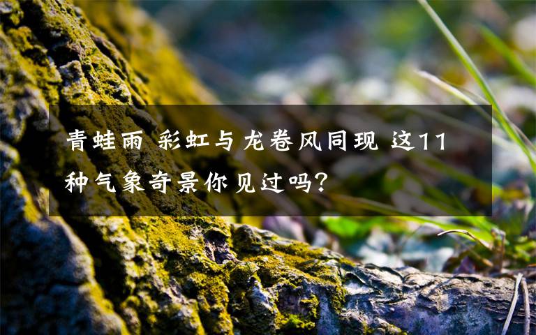 青蛙雨 彩虹与龙卷风同现 这11种气象奇景你见过吗？