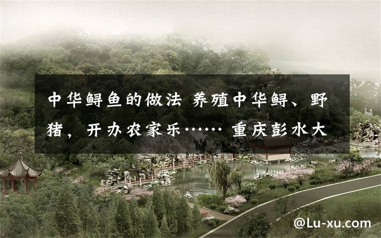 中华鲟鱼的做法 养殖中华鲟、野猪，开办农家乐…… 重庆彭水大垭乡因地制宜发展产业