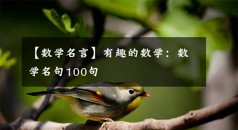 【数学名言】有趣的数学：数学名句100句